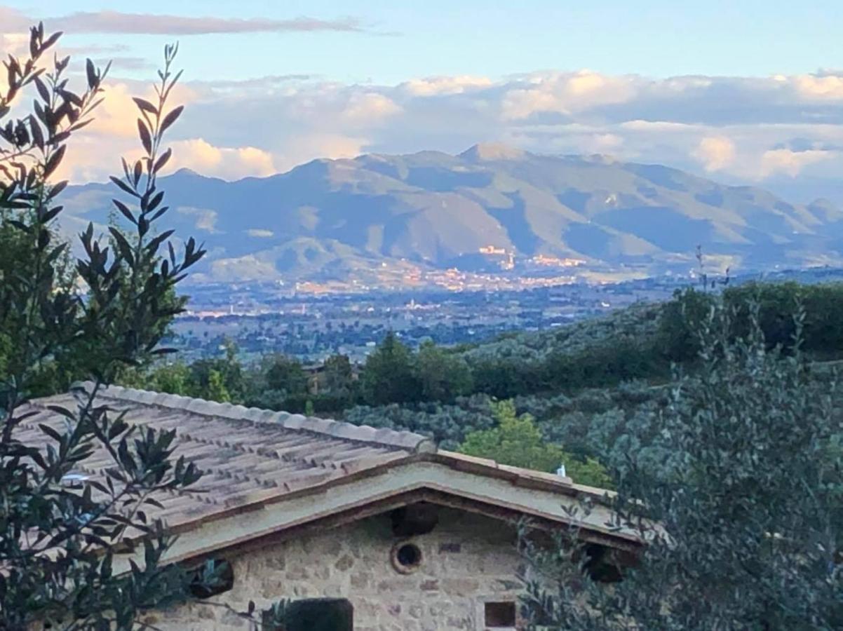 مونتيفالكو Agriturismo Camiano Piccolo المظهر الخارجي الصورة