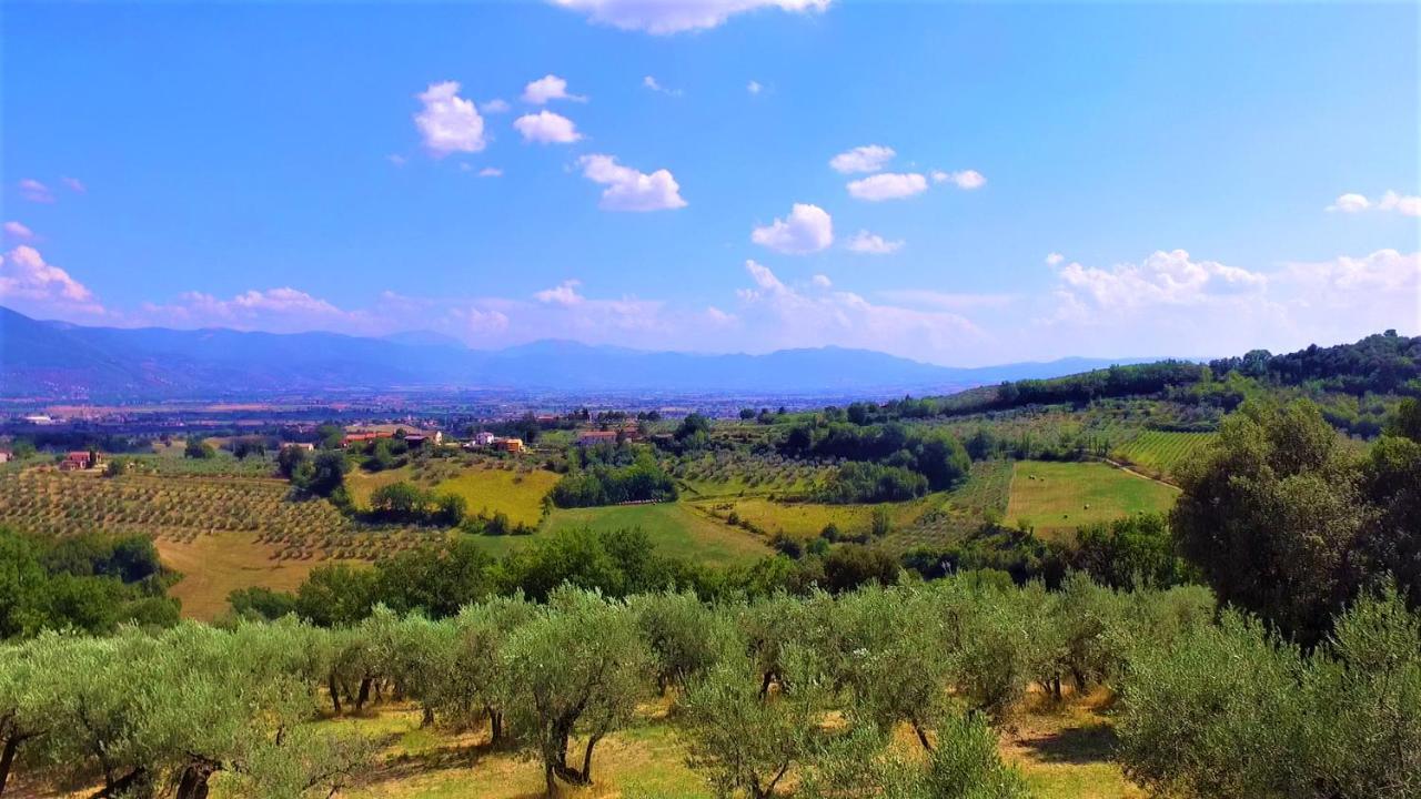 مونتيفالكو Agriturismo Camiano Piccolo المظهر الخارجي الصورة