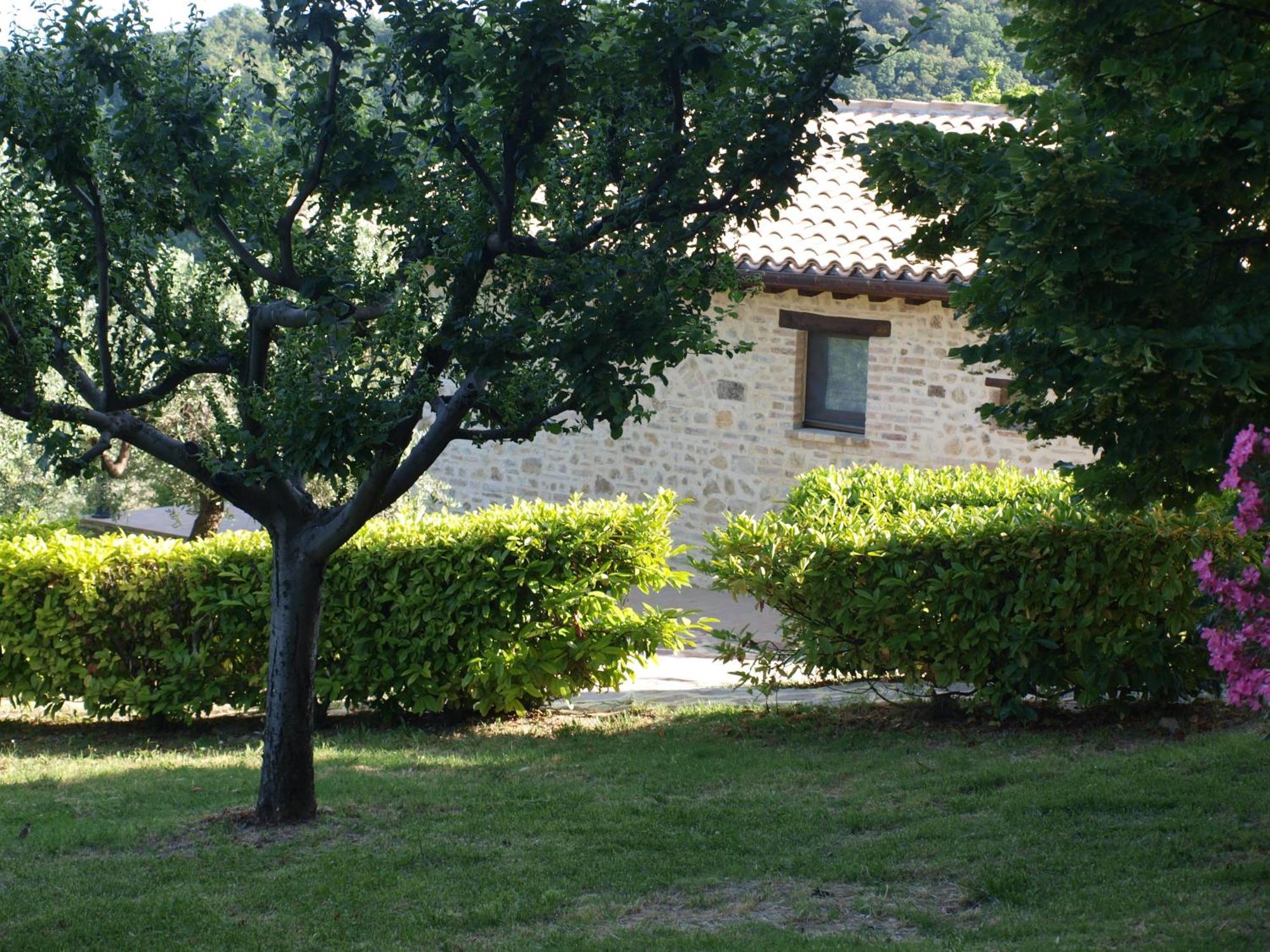 مونتيفالكو Agriturismo Camiano Piccolo المظهر الخارجي الصورة